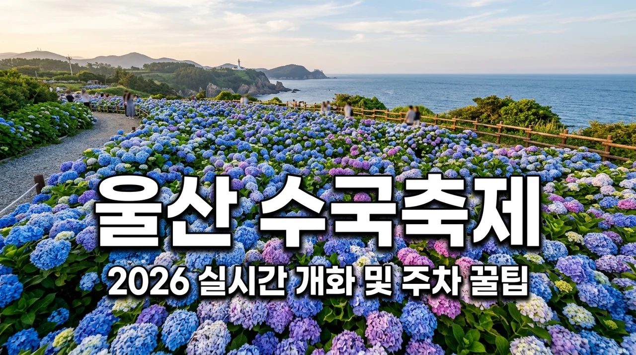 2026 울산 수국축제 장생포 개화시기 주차 입장료 웨일즈카트 총정리