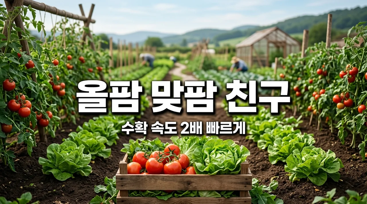 올팜 맞팜 친구 추가로 수확 속도 2배 높이는 꿀팁 (링크 포함)