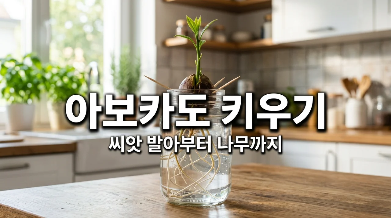 아보카도 키우기 씨앗 발아부터 나무까지 성공하는 7단계 가이드