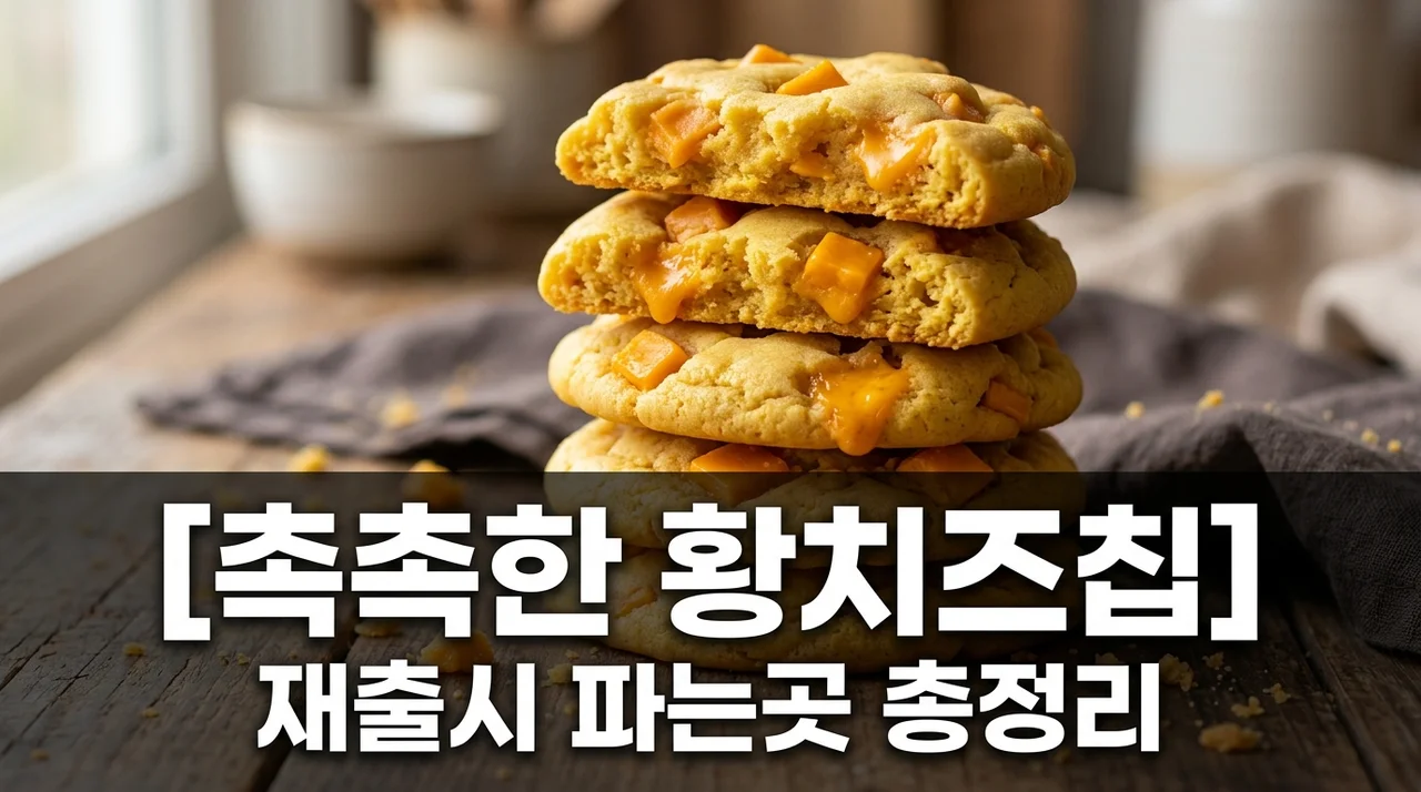촉촉한 황치즈칩 파는곳 2026 최신 재출시 정보와 솔직한 맛 후기