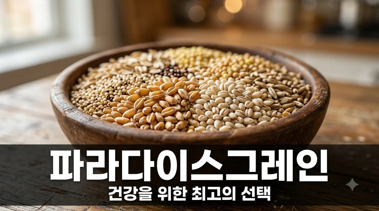 파라다이스그레인 효능 및 먹는 법: 프리미엄 곡물로 완성하는 건강 식단