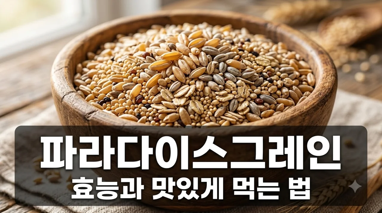 파라다이스그레인 효능 및 먹는 법! 혈당 잡는 고대 곡물 식단 가이드